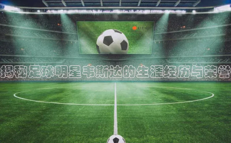 球盟会(中国)雷柏科技揭秘足球明星韦斯达的生涯经历与荣誉