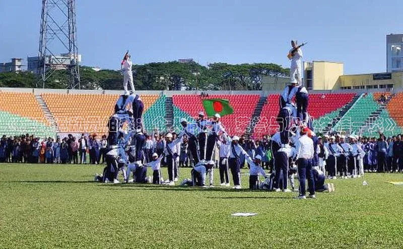 球盟会官方网入口京东《足球运动员帕森：个人简历、荣誉与职业生涯一览》