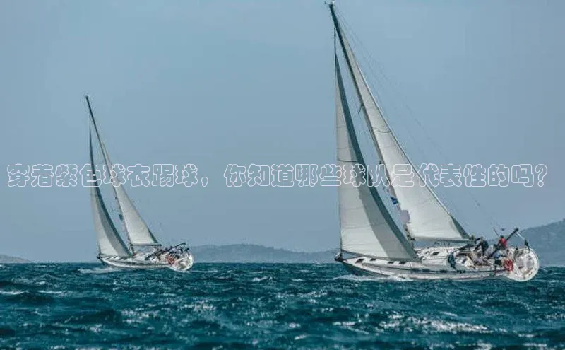 球盟会(中国)官方网站ARGA公司穿着紫色球衣踢球，你知道哪些球队是代表性的吗？