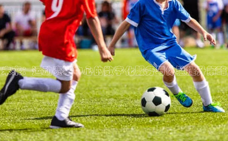 球盟会登录入口网页版汉得信息未来：运动赛事中心的数字化服务与体验提升策略