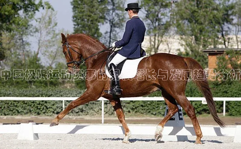球盟会官方网站入口百度搜索资源平台中国极限运动赛事的规模增长与发展趋势分析