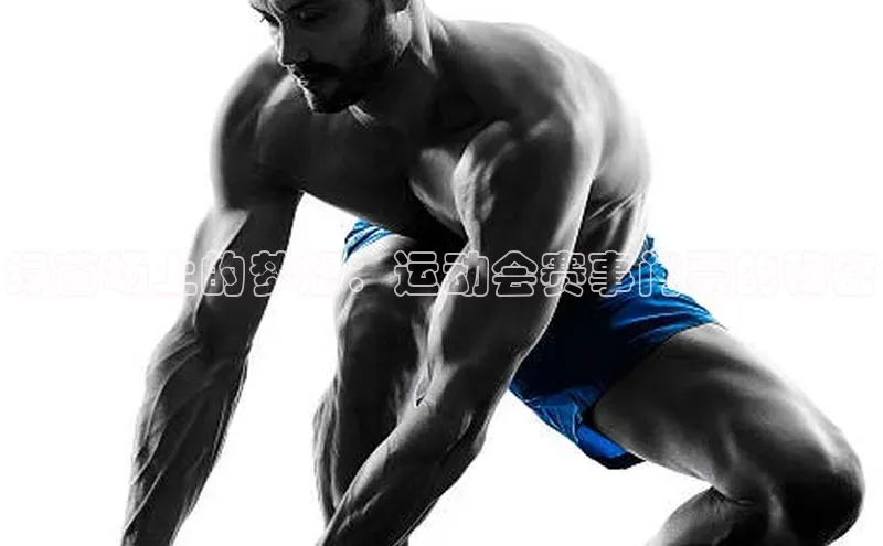 球盟会在线登录小米绿茵场上的梦想：运动会赛事门票的秘密