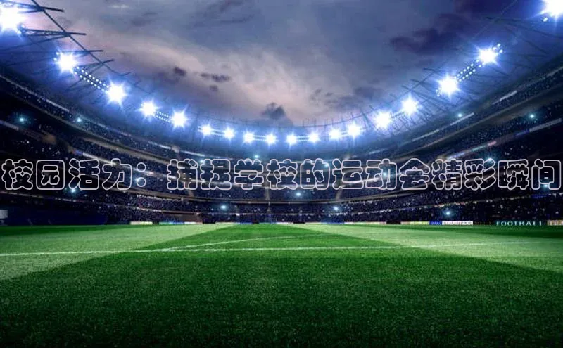 球盟会手机版登录度小满理财校园活力：捕捉学校的运动会精彩瞬间