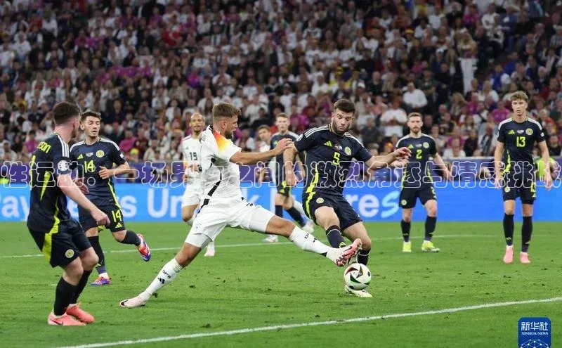 性运动：一场男女之间的激烈角逐与情感挑战