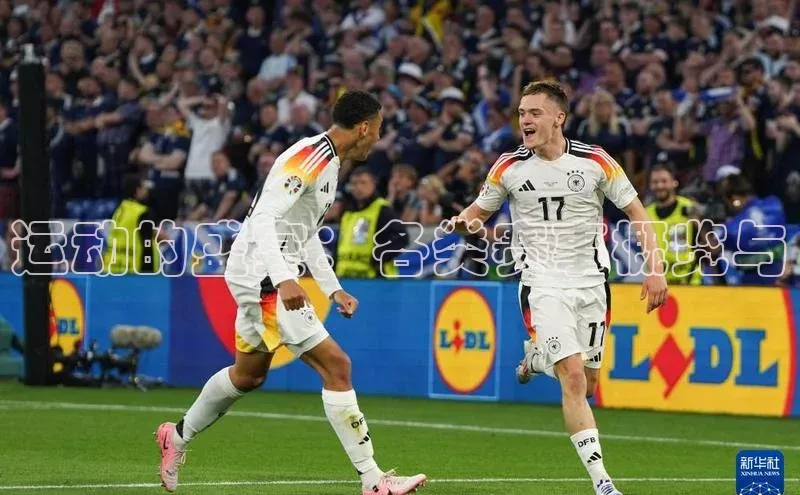 运动的盛宴：各类赛事概览与