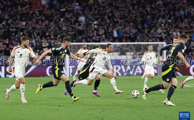 汽车赛事与运动的分类地图：速度与激情的世界