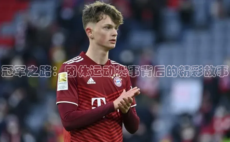 冠军之路：团体运动赛事背后的精彩故事