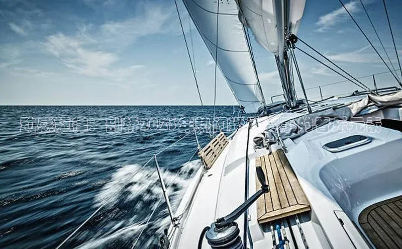 动感旋律：剖析2023年热门运动赛事的音乐元素