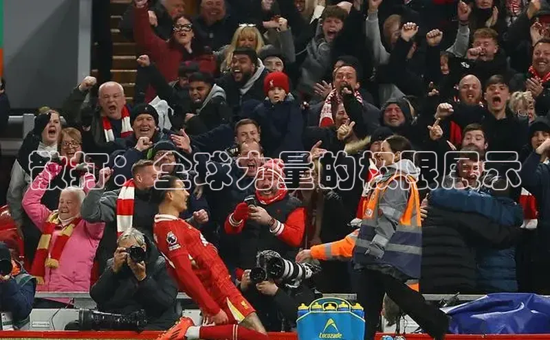 散打：全球力量的极限展示