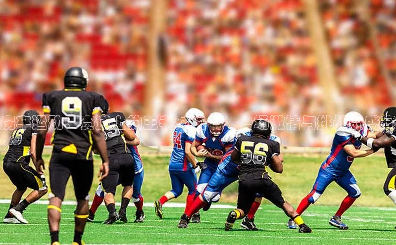 房车运动：赛道上的王者对决——一场激情与挑战的盛宴