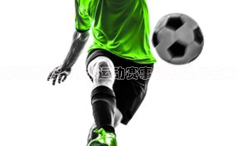 驾驭奇迹：马术运动赛事的激情与艺术