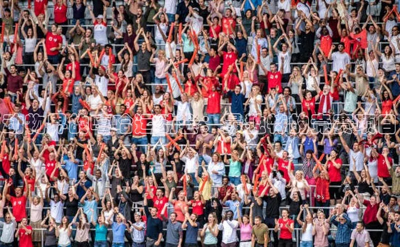 动物界的嘻哈运动会：最独特的竞赛项目