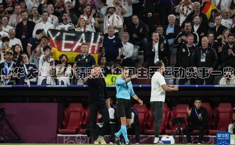 中华大地上的精彩：中国主要运动赛事一览