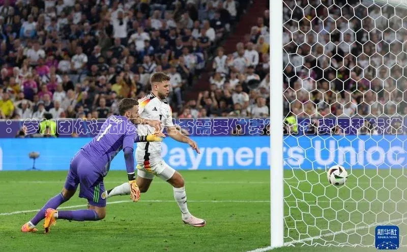 ：参加团体运动赛事是否需要付费？报名费用和标准