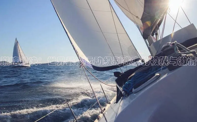 巅峰对决：世界最高运动级别赛事的极限与激情