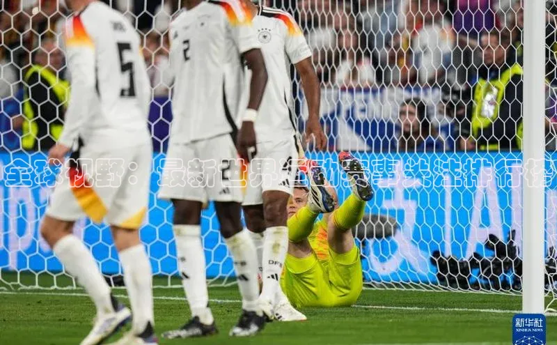 全球视野：最新世界运动赛事关注排行榜