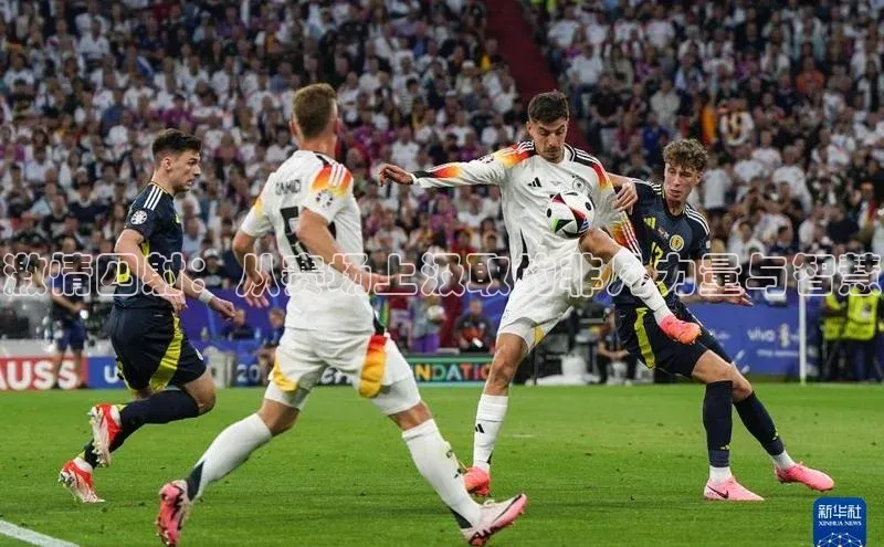 激情四射：从赛场上汲取的非凡力量与智慧