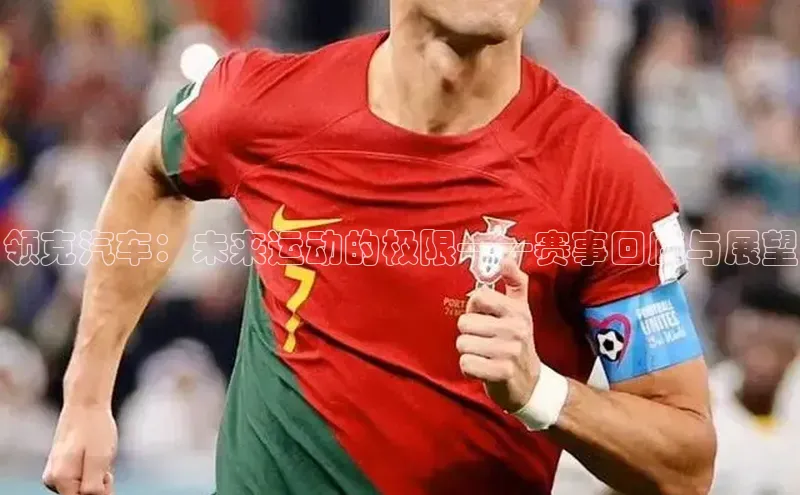 领克汽车：未来运动的极限——赛事回顾与展望