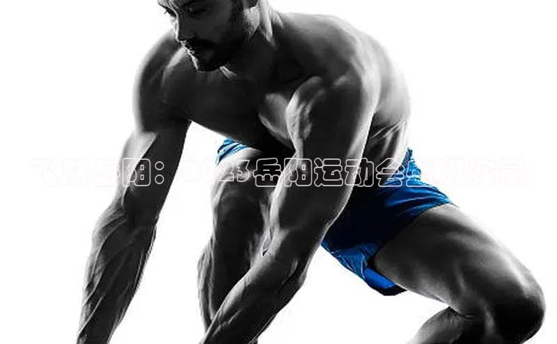 飞跃岳阳：2023岳阳运动会盛况实录