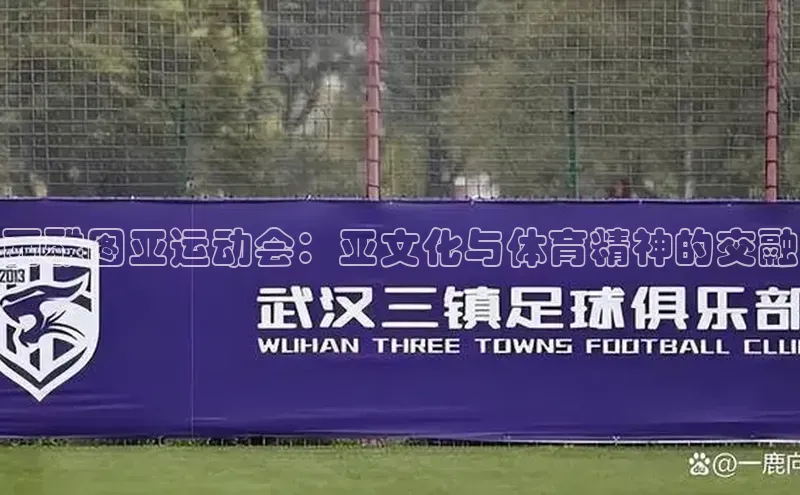 西雅图亚运动会：亚文化与体育精神的交融